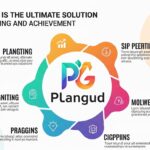 Why Plangud is the Ultimate Solution for Goal Setting and Achievement